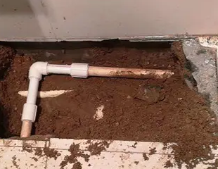 南岗测漏水哪家好